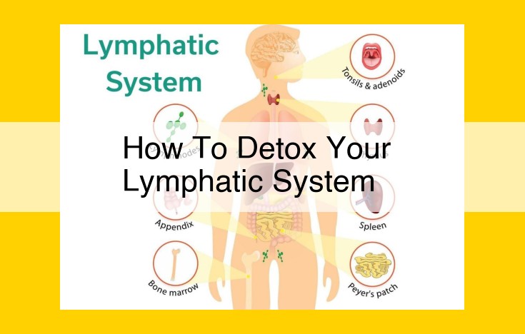 The Essential Guide to Detoxifying Your Lymphatic System: A Comprehensive Approach