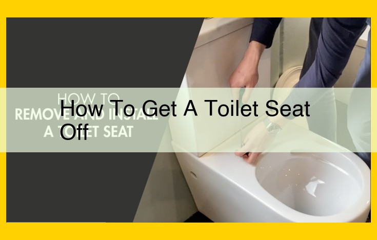 Quick and Easy Guide to Removing and Installing a Toilet Seat