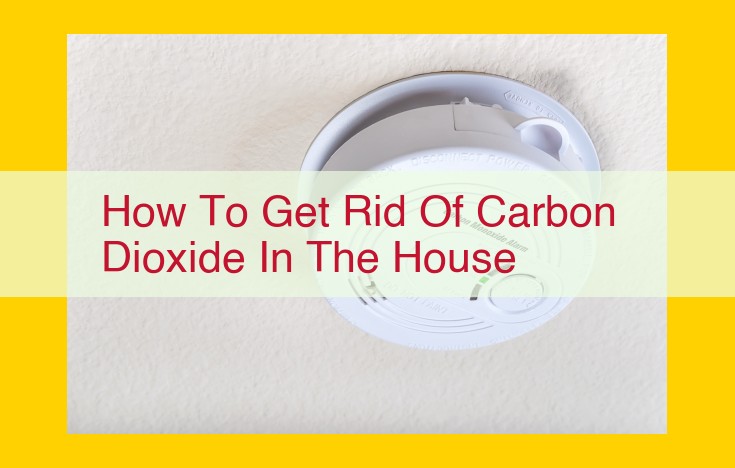 Top Ways to Remove Carbon Dioxide in Your Home: Improve Air Quality and Health