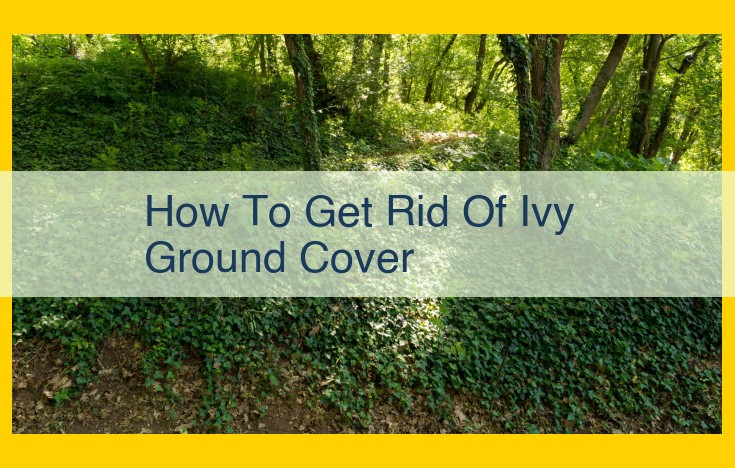 Eliminate Ivy Ground Cover: Methods and Considerations