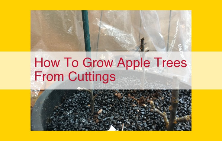 How to Propagate Apple Trees from Cuttings: A Step-by-Step Guide