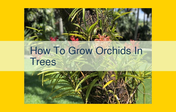 Grow Orchids in Trees: A Comprehensive Guide to Thriving Epiphytes Outdoors