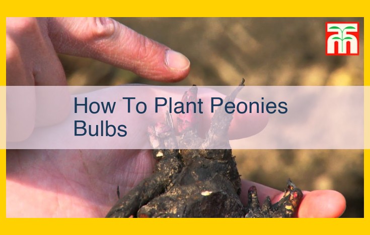 Essential Guide to Planting Peonies for Optimal Growth