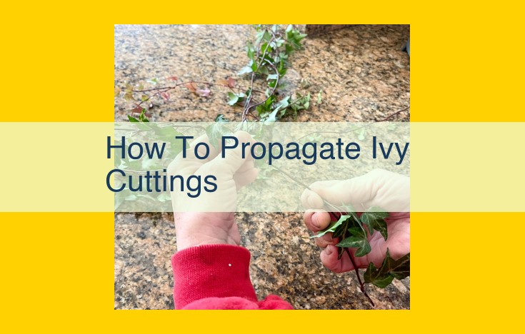 Step-by-Step Guide to Propagating Ivy Cuttings: A Comprehensive Guide