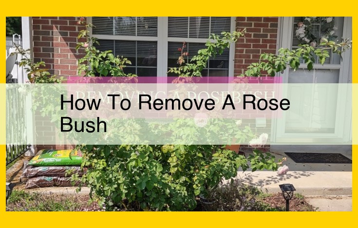 Step-by-Step Guide to Efficiently Removing a Rose Bush: A Comprehensive Guide to Pruning, Digging, and Proper Disposal