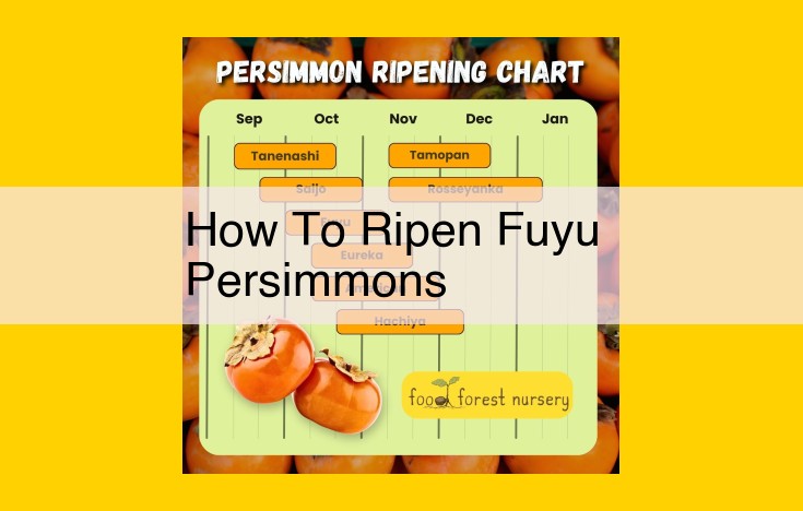 Fuyu Persimmon Ripening: A Comprehensive Guide to Sweeten Your Treat