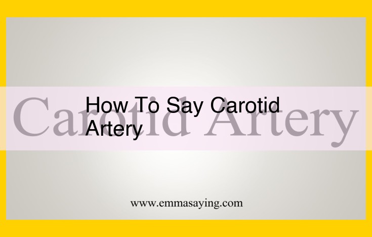 Carotid Artery Pronunciation and Anatomy: A Guide to the Major Blood Vessel