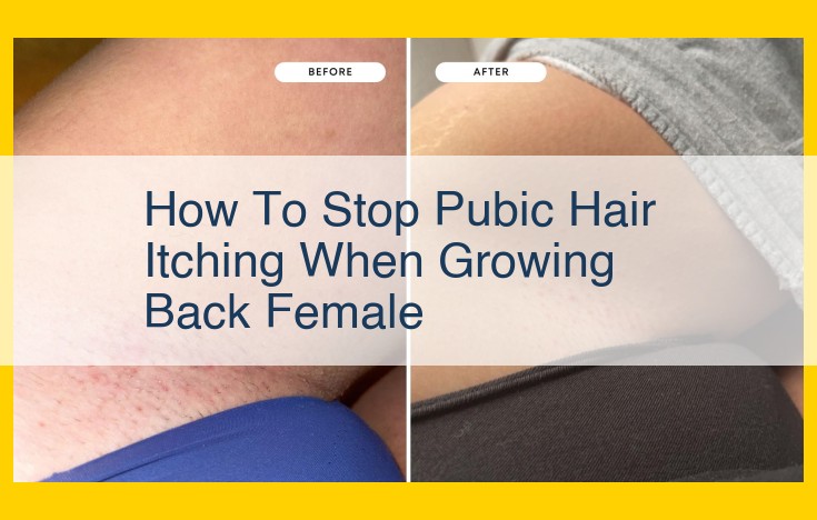 Effective Itch Relief and Prevention for Pubic Hair Regrowth: A Guide to Smooth and Soothed Skin