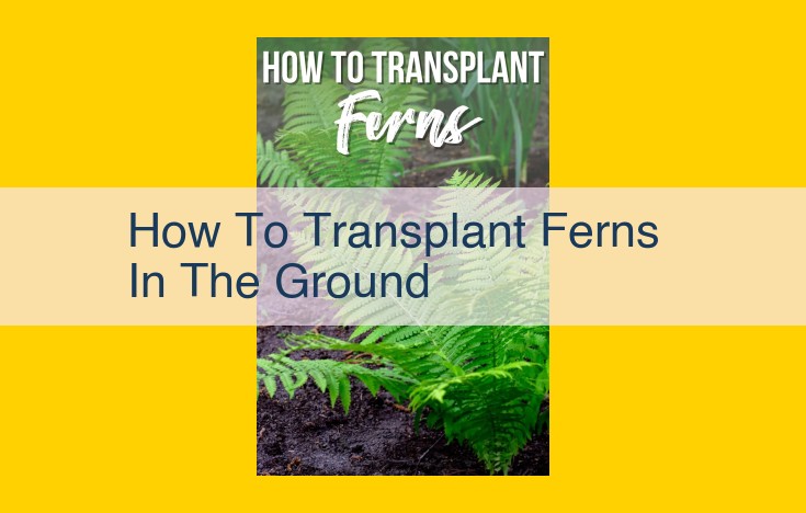 Expert Guide to Successful Fern Transplantation: Step-by-Step Instructions