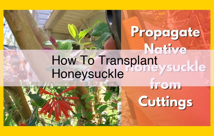 Expert Guide to Honeysuckle Transplantation: Step-by-Step Success