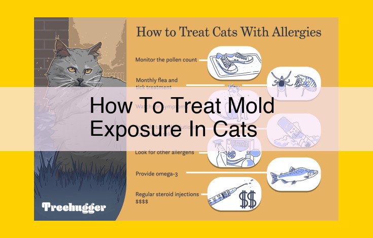 Mold Exposure in Pets: Diagnosis and Treatment Guide