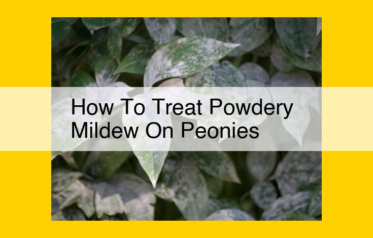 Effective Powdery Mildew Treatment and Prevention for Peonies