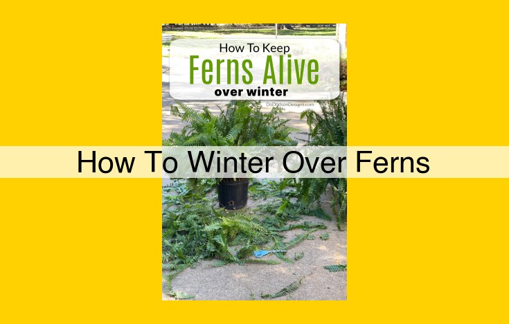 Comprehensive Guide to Overwintering Ferns: Ensuring Winter Survival