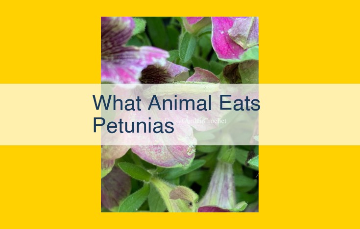 Petunias: Oasis for Wildlife, but Protect Your Plants