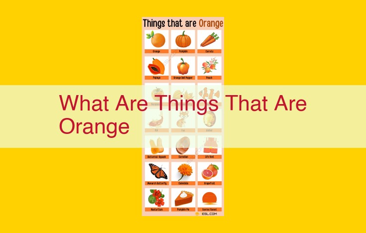 Orange: The Hue of Natural Wonders, Culinary Delights, and Joyful Expressions