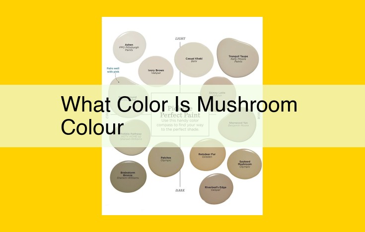Unveiling the Secrets Behind Mushroom Color: Pigment Power and Environmental Influences