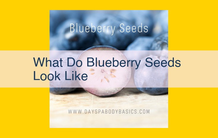 Discover the Unique Characteristics of Blueberry Seeds: Unraveling Their Size, Shape, and Texture
