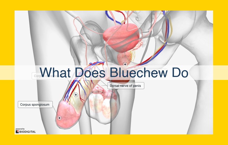 Bluechew: Discreet and Convenient ED Medication Delivery Service