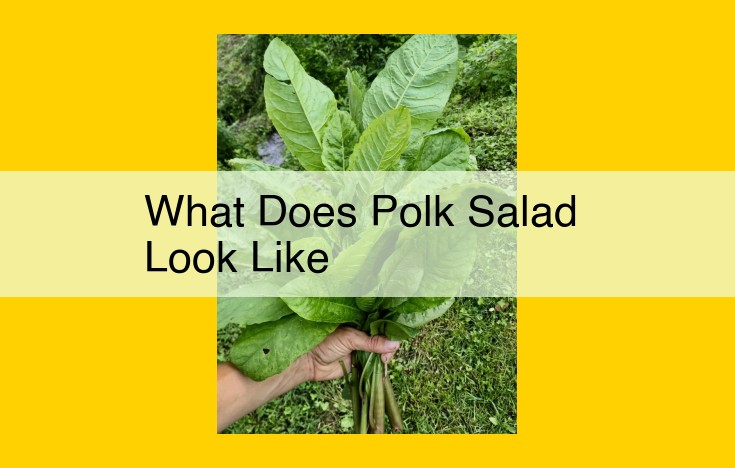 Polk Salad: Its Distinctive Physical Traits