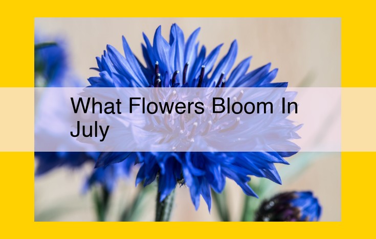 Discover July's Enchanting Garden: A Kaleidoscope of Blooming Beauties
