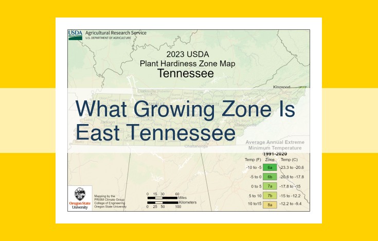 East Tennessee's Lush Gardens: A Plant Hardiness Guide for Thriving Landscapes