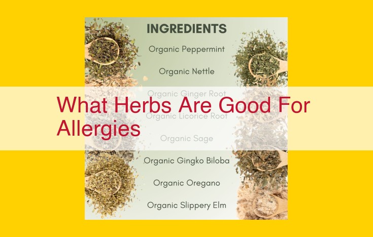 Natural Remedies for Allergies: A Comprehensive Guide to Relieving Symptoms