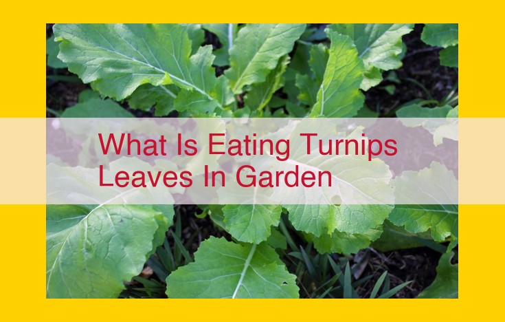 Protect Your Turnips: Identifying and Controlling Garden Pests Effectively