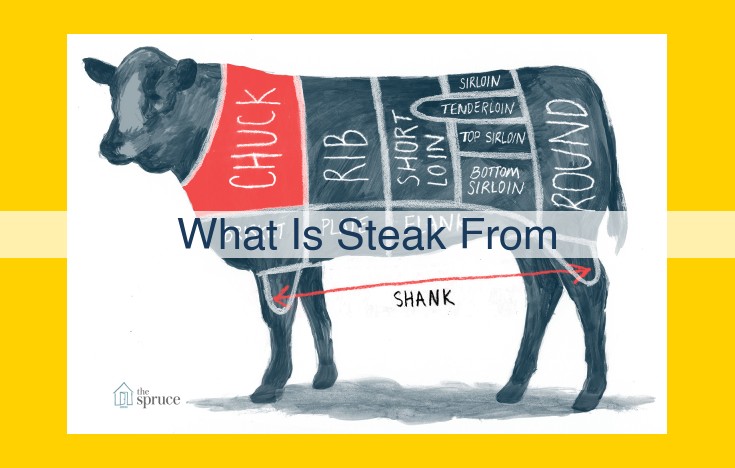 Unveiling the Exquisite World of Steak: A Comprehensive Guide to Cuts, Breeds, and Animal Sources