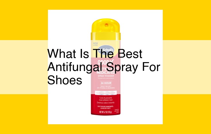 Eliminate Fungal Growth: Discover the Best Antifungal Spray for Shoes