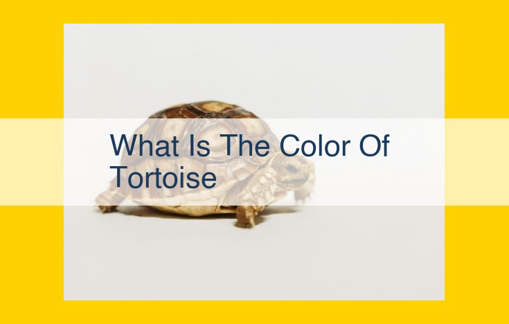 Tortoise Shell Coloration: Unveiling the Influence of Biology, Environment, and Culture