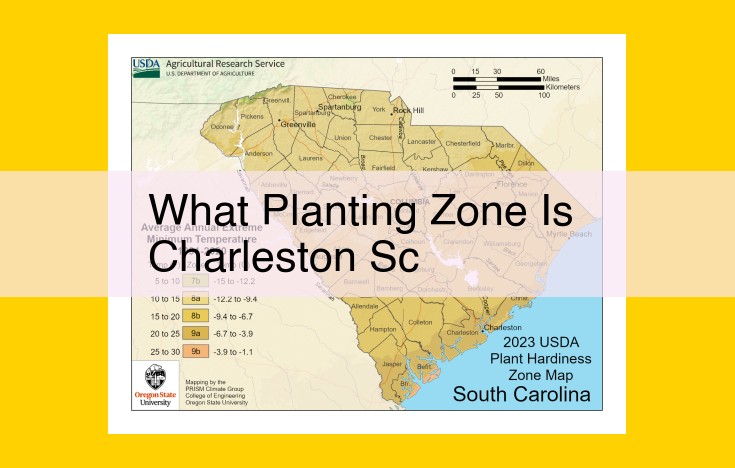Charleston Gardening: Plant Hardiness Zone 8b and Recommended Species