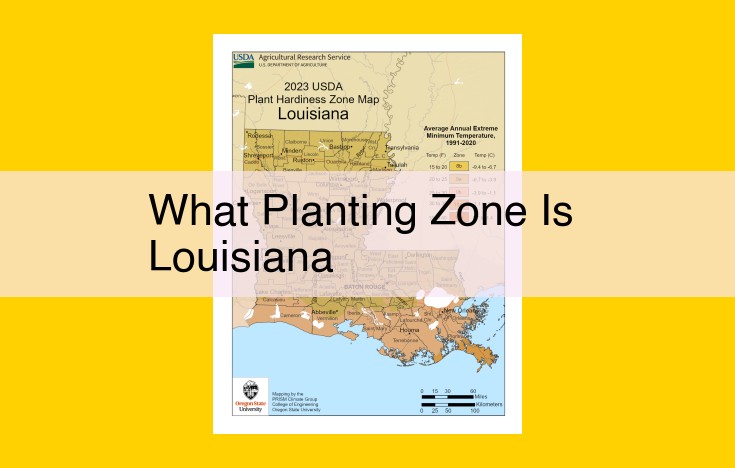 Louisiana Gardening Guide: Plant Hardiness Zones, Resources, and Native Plants
