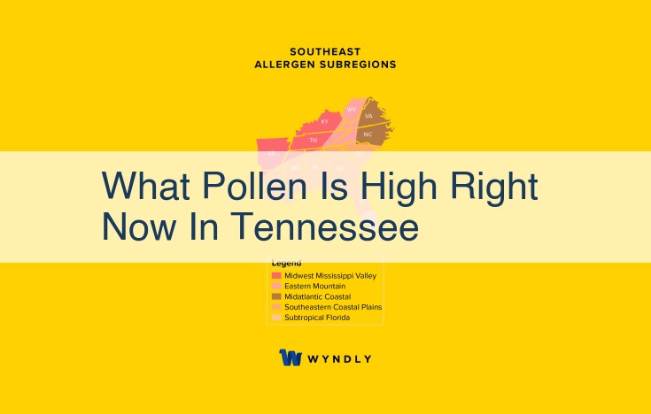 Tennessee Allergy Season: Tree Pollen Peaks with Grass Pollen Forecast Later