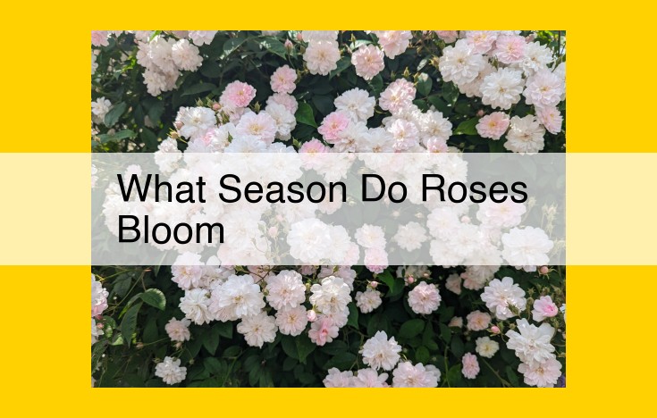 Discover the Enchanting World of Roses: Unraveling Their Blooming Seasons for Optimal Garden Design