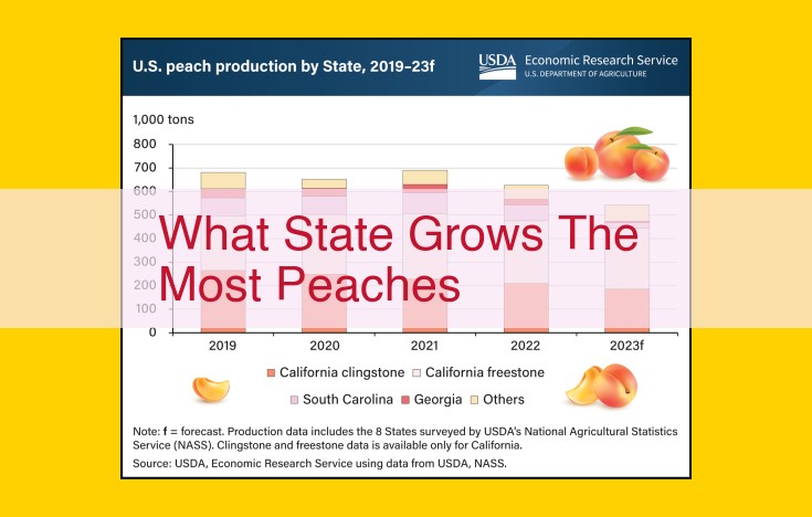 California: The Peach State Giant