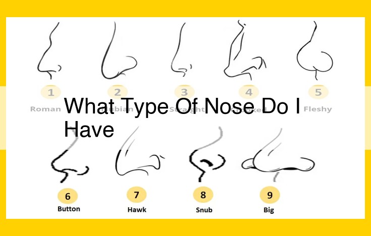 Unveiling the Noses of the World: Exploring Anatomy, Diversity, and Evolution