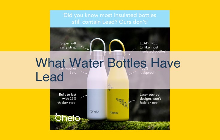 Water Bottle Lead Regulation: EPA, FDA, NRDC, EWG, ABA, IBWA, and Industry Compliance