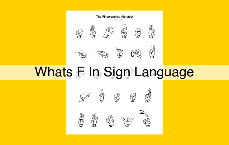 Understanding the Limitations of Textual Information: F Sign Language Not Covered