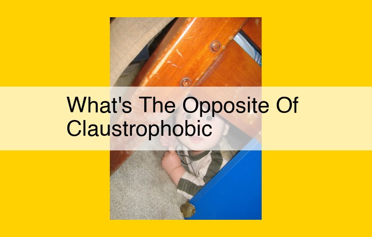 Understanding Spatiophilia: The Opposite of Claustrophobia and Its Impact on Personality